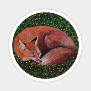 fox sleeping in buttercups Magnet